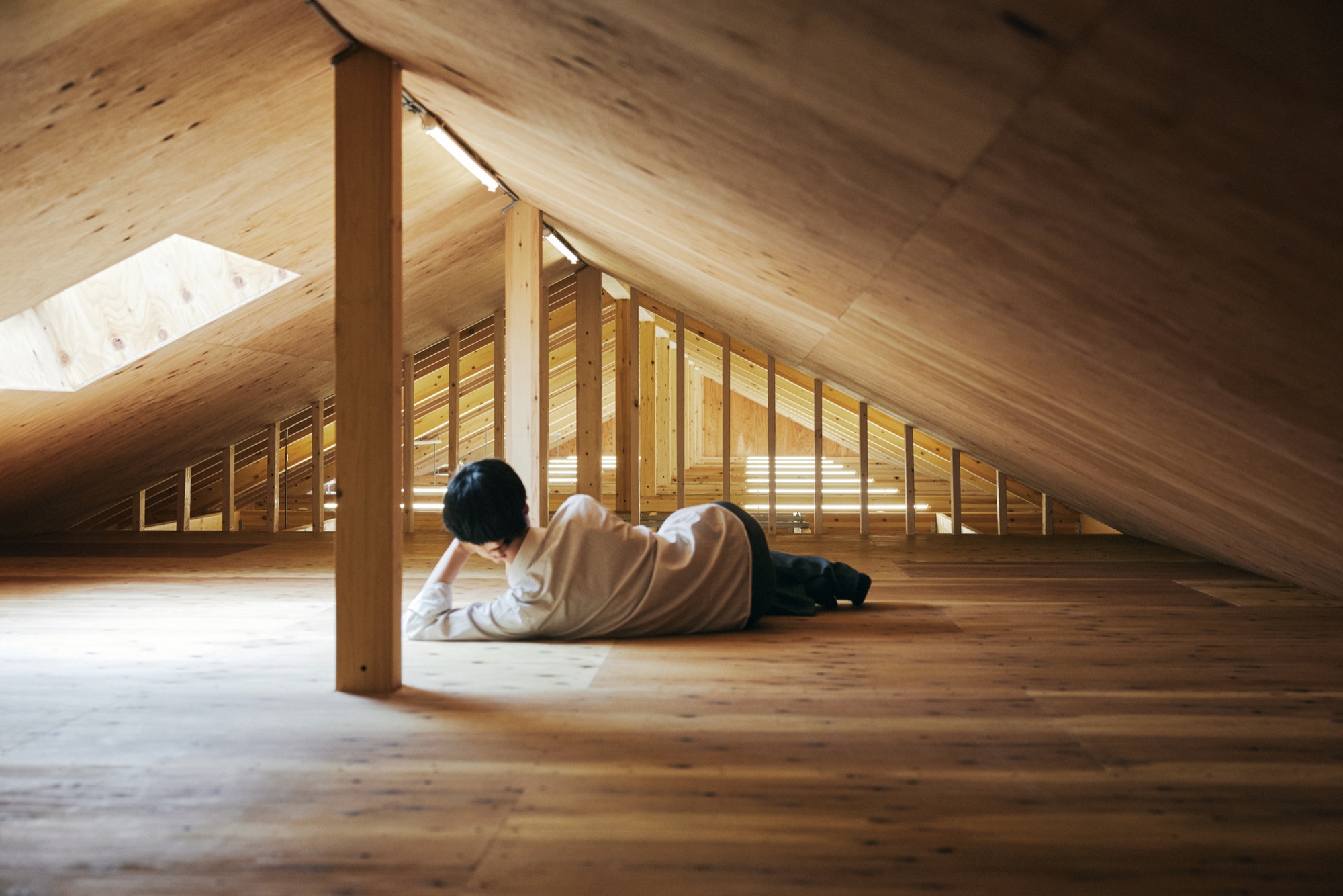 Resting in the loft beneath a skylight
