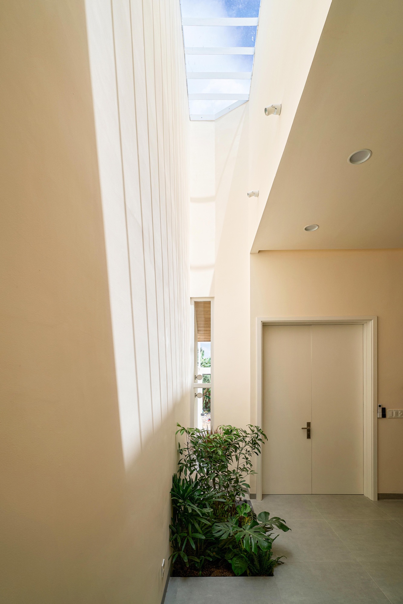 Narrow lightwell with planting at its base