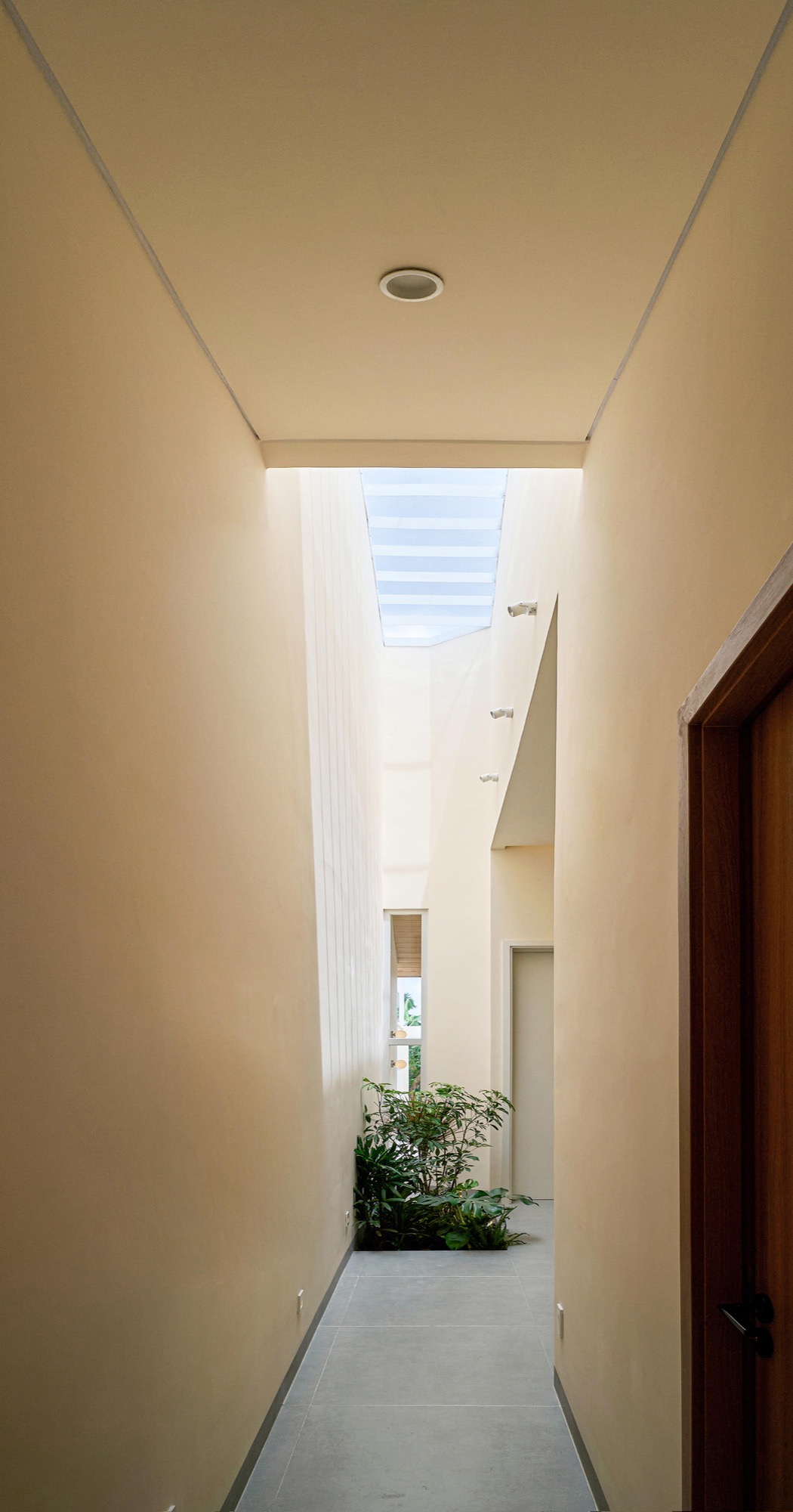Slot of space lit from a skylight above