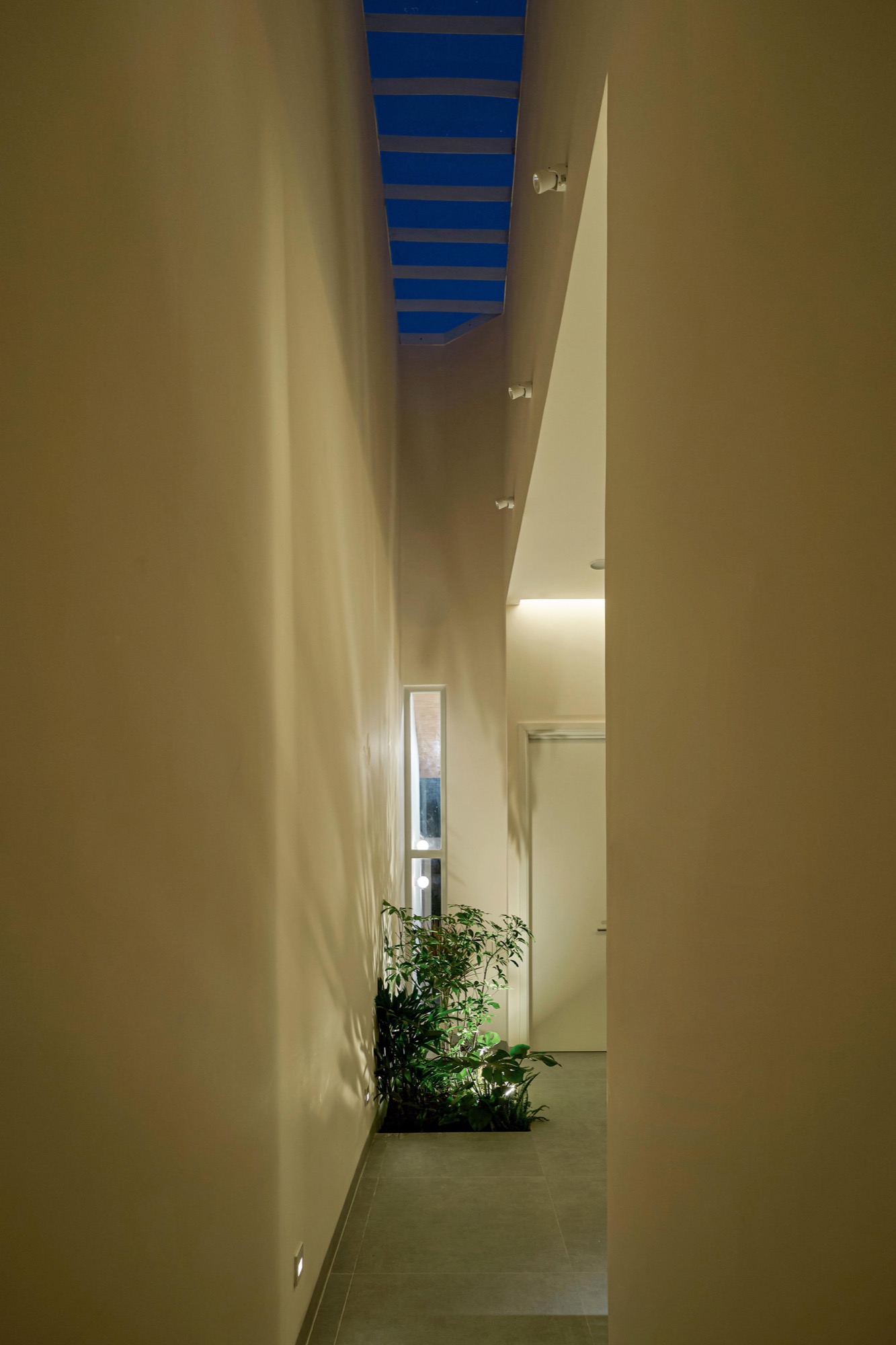 Tall narrow gap lit from the roof