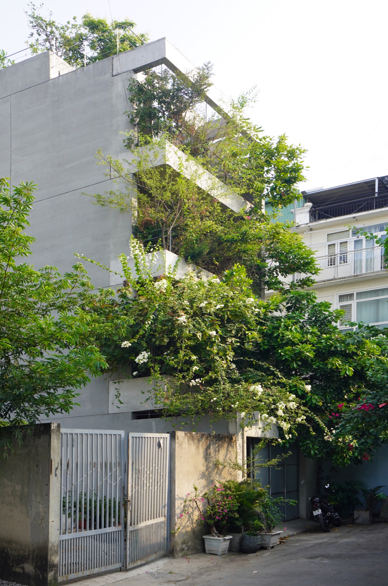 Street front with planting spilling from each floor