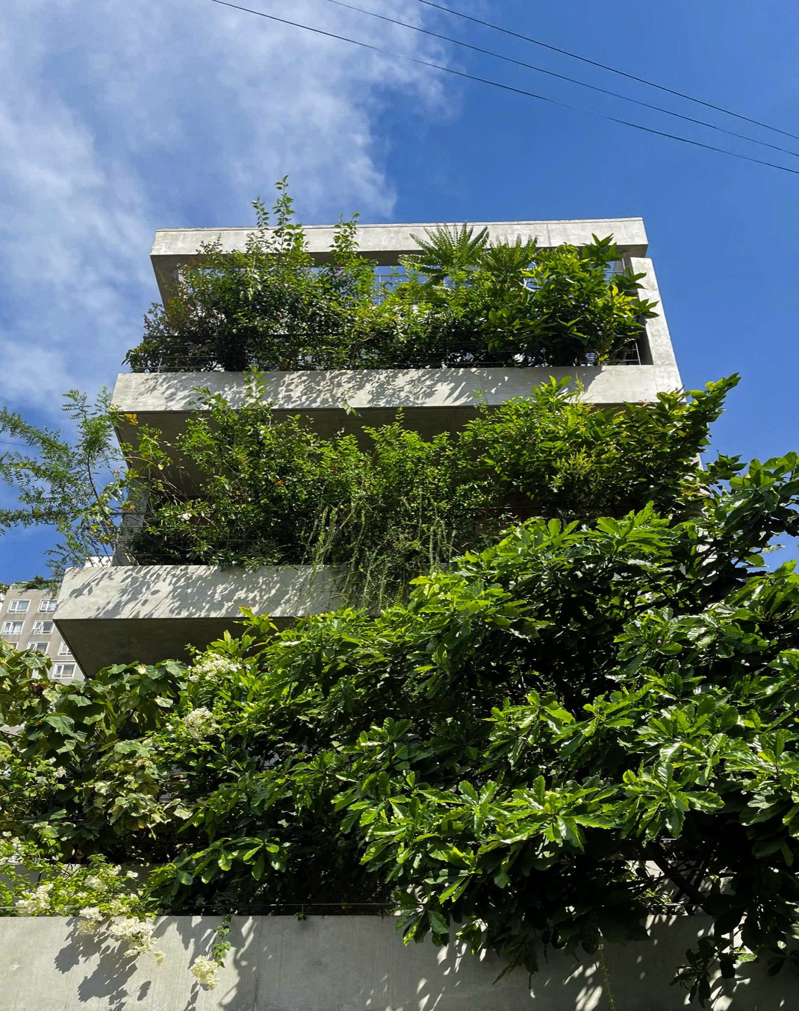 Planted floor edges seen from below against the sky