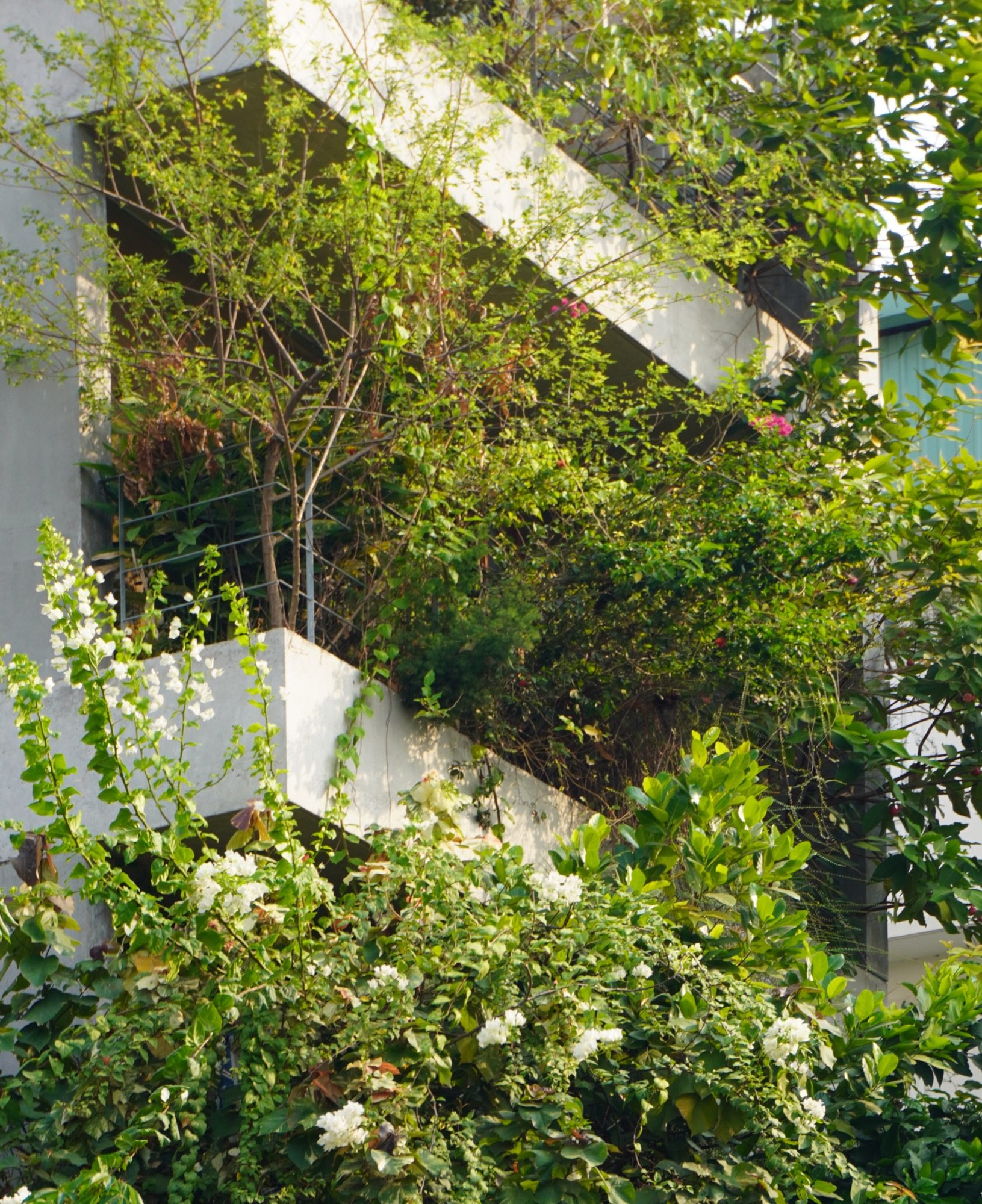 Planters and climbers at the floor edges