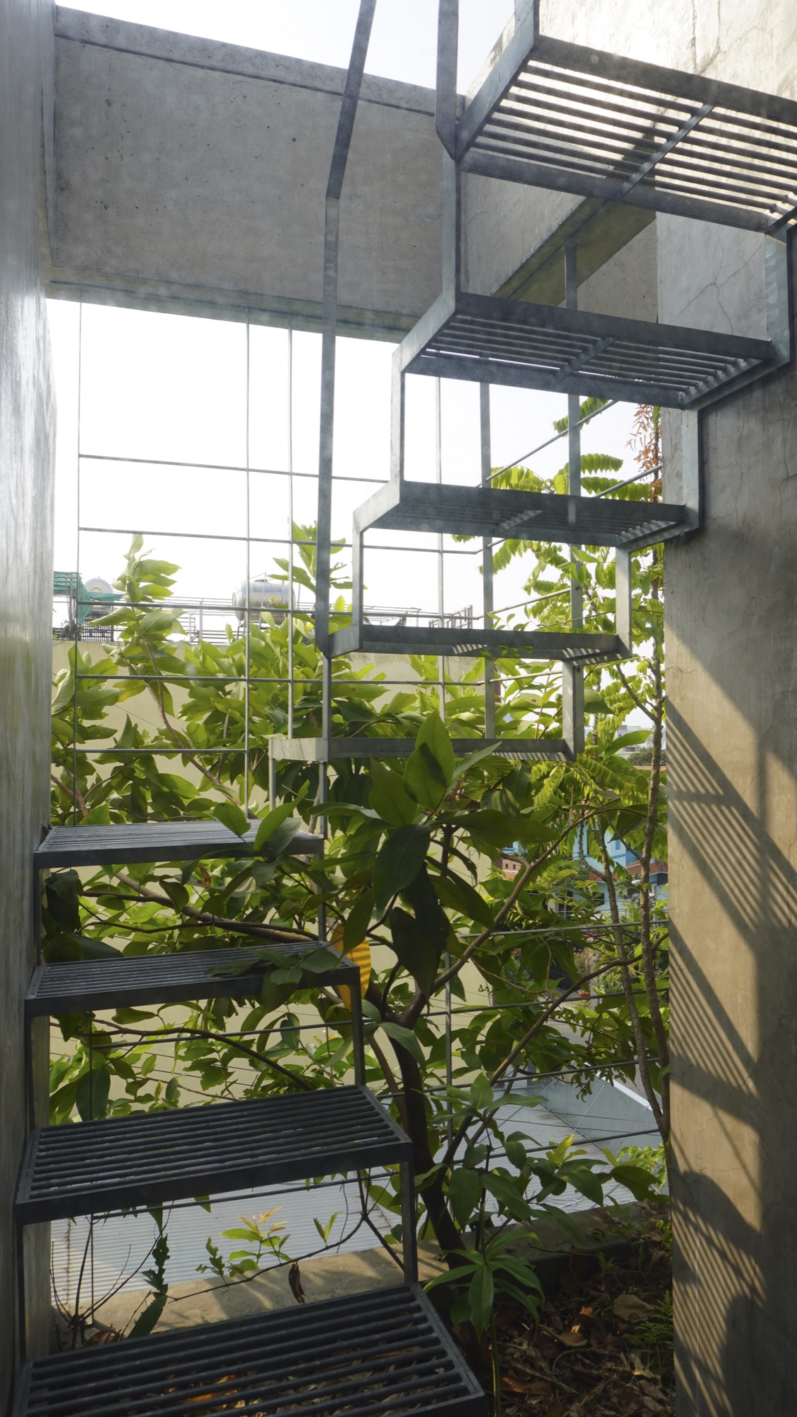 Stair landing with trees growing in the void