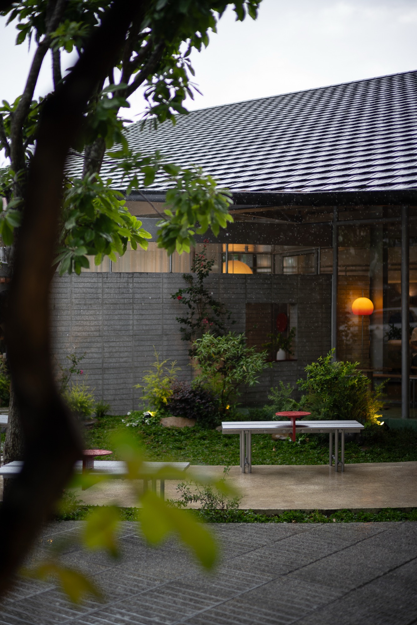 Tree trunk and garden seating by the roof edge