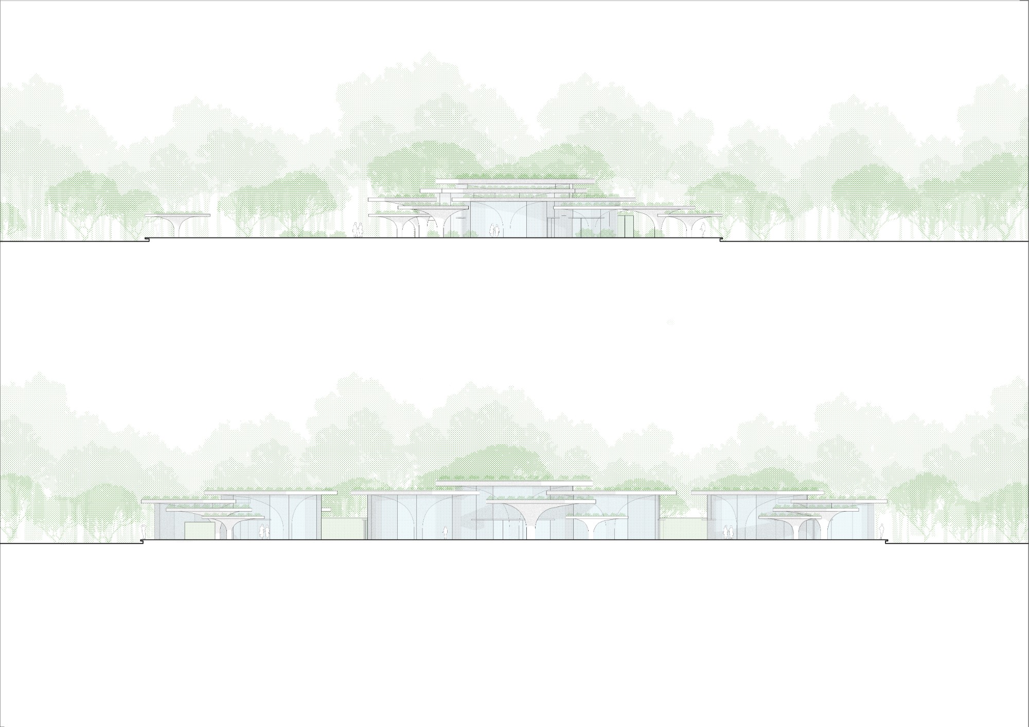 Elevations showing the low roofline under the tree canopy