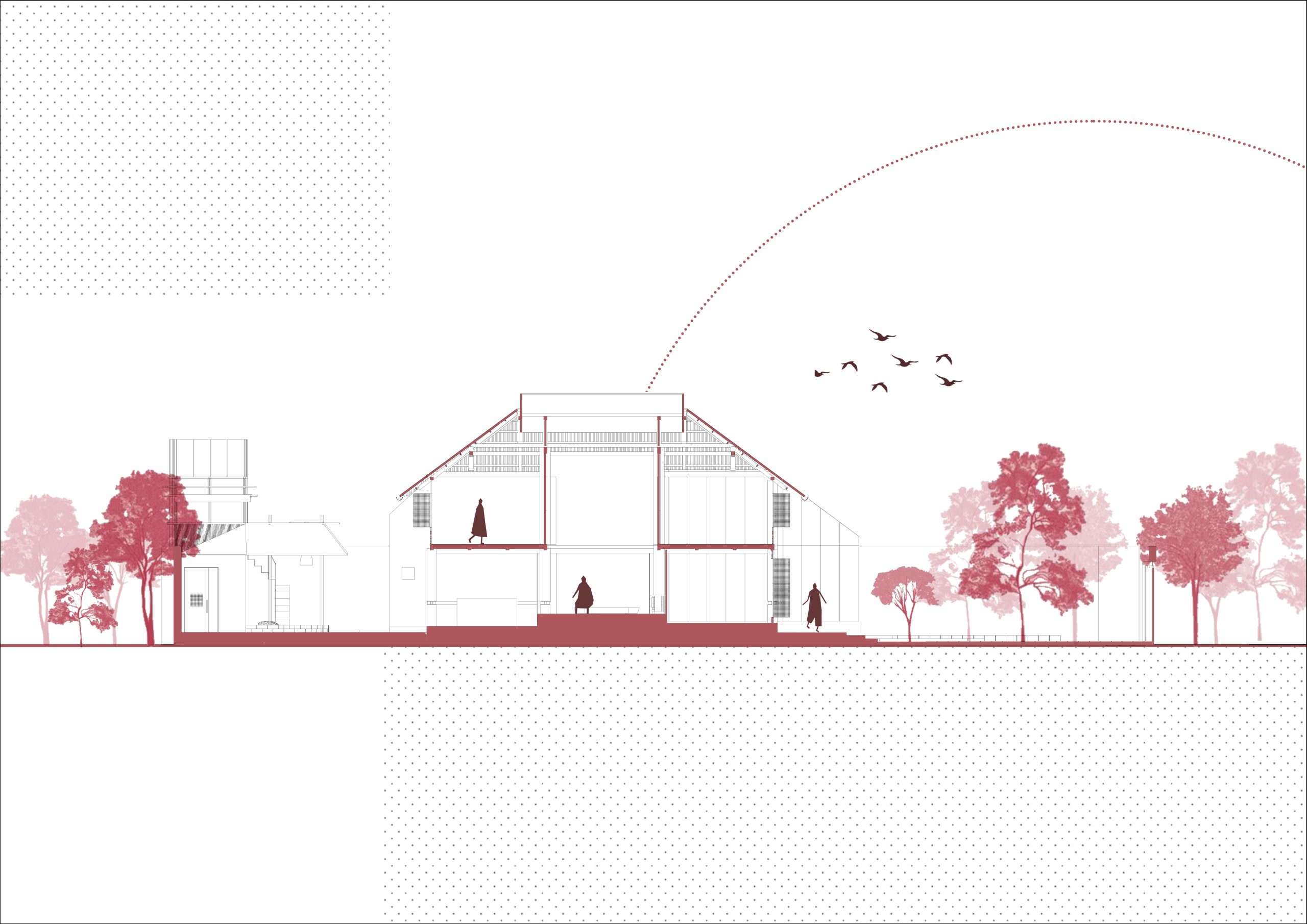 Section drawing