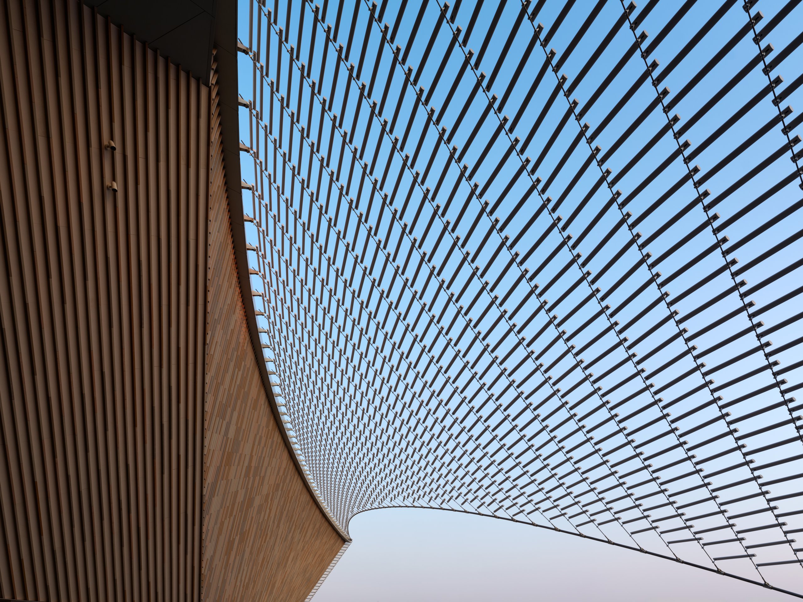 Looking up through the ceramic screen